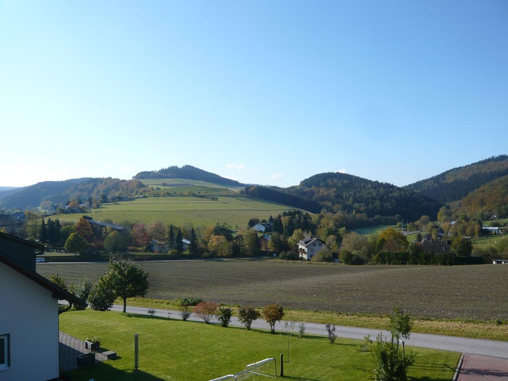 Haus Talblick Villa Willingen  Exterior foto